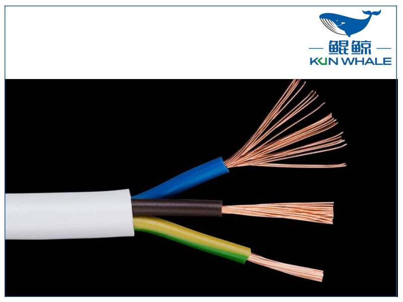 河南太平洋圖片-恢復的