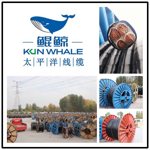 河南河南太平洋線纜國產(chǎn)電纜十大品牌排名