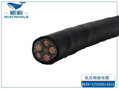 采用線(xiàn)纜標(biāo)準(zhǔn)時(shí)如何選擇電纜？需要注意什么問(wèn)題？